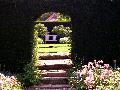 gal/holiday/Yeovil Area 2007 - Tintihull Gardens/_thb_Tintinhull_Gardens_P1010008.jpg